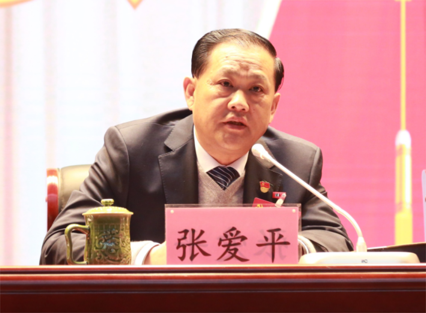 张爱平同志宣读中共彩神官方端网页版第一届党委成员分工及纪委成员分工